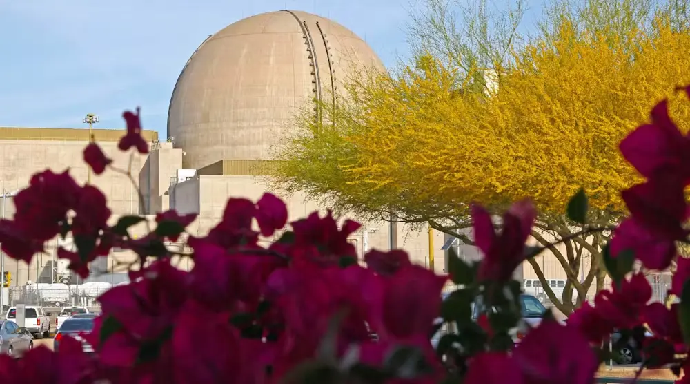 Flowers and trees in front of a large cement dome