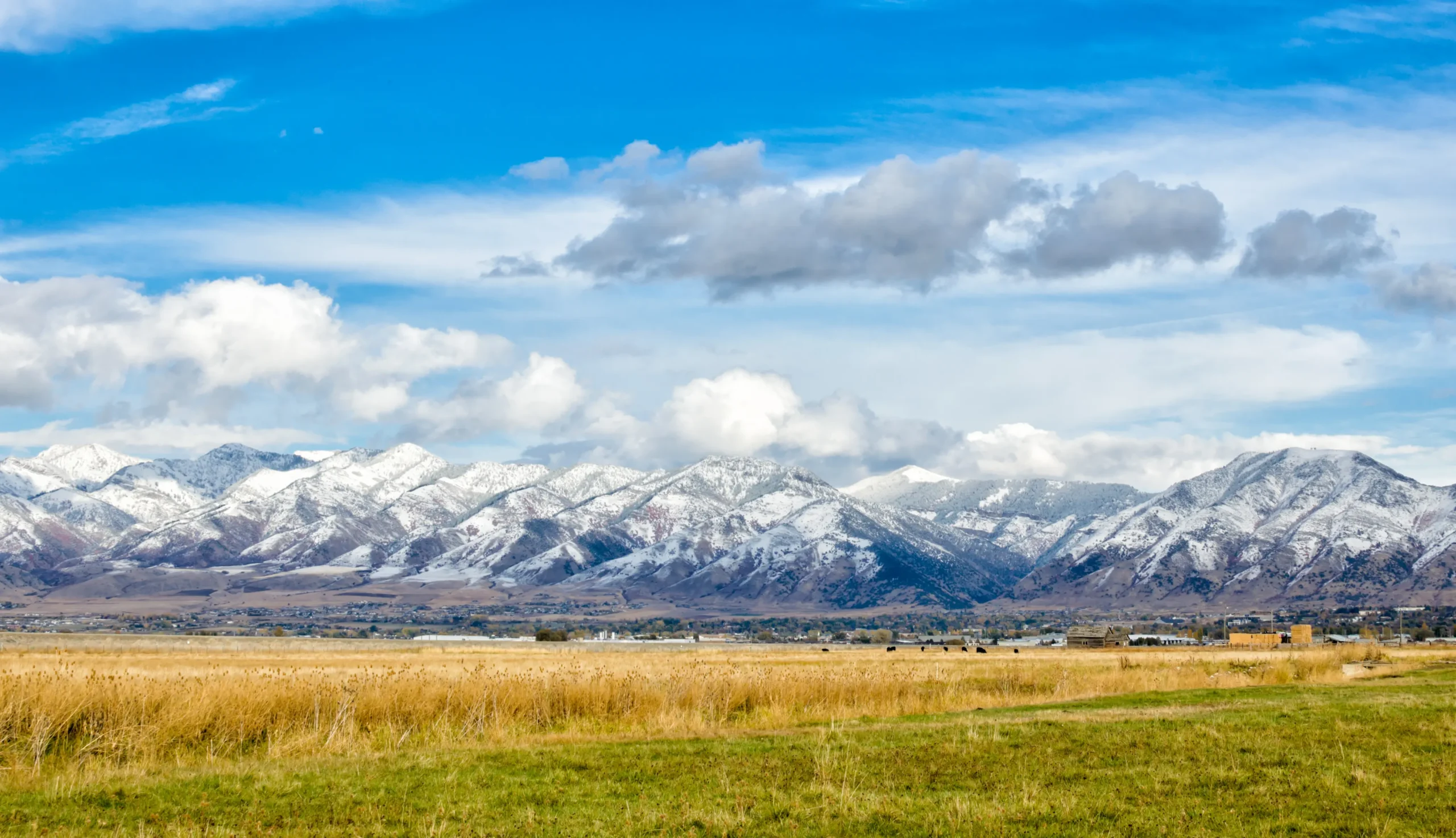 Wheat fields in front of large snow-covered mountains